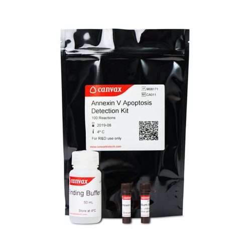 Annexin V PE apoptosis detection kit