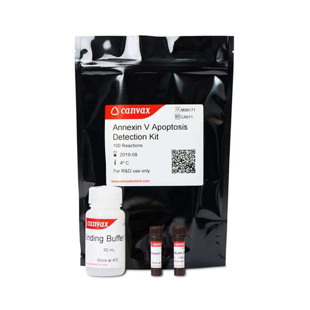 Annexin V PE apoptosis detection kit
