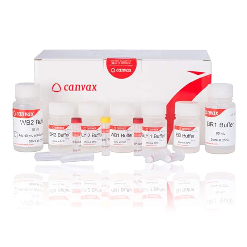 FFPE dna isolation kit