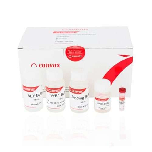 cfDNA purification kit