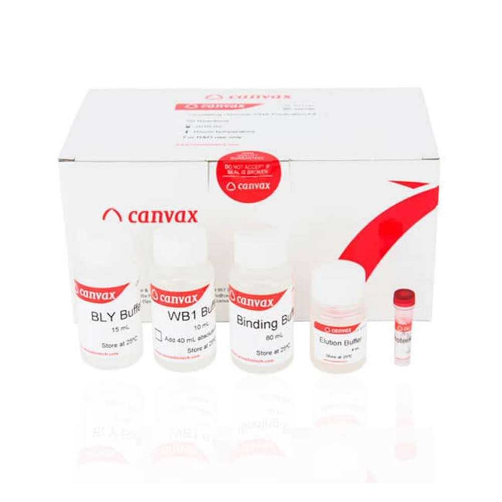 cfDNA purification kit
