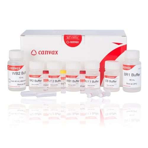 HigherPurity™ Yeast DNA Isolation Kit