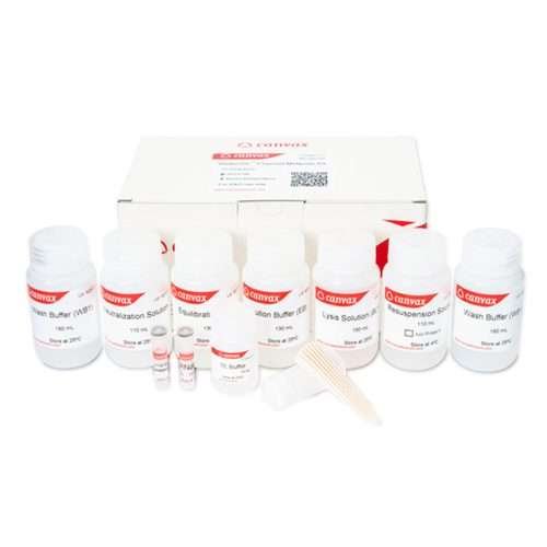 plasmid maxiprep kit
