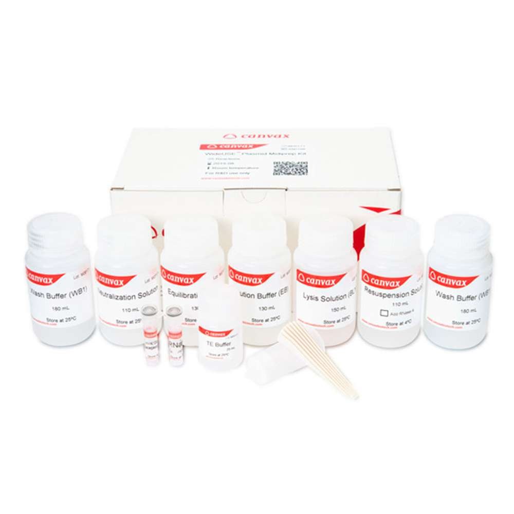 plasmid maxiprep kit