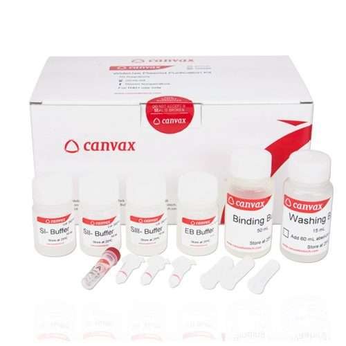 plasmid miniprep kit