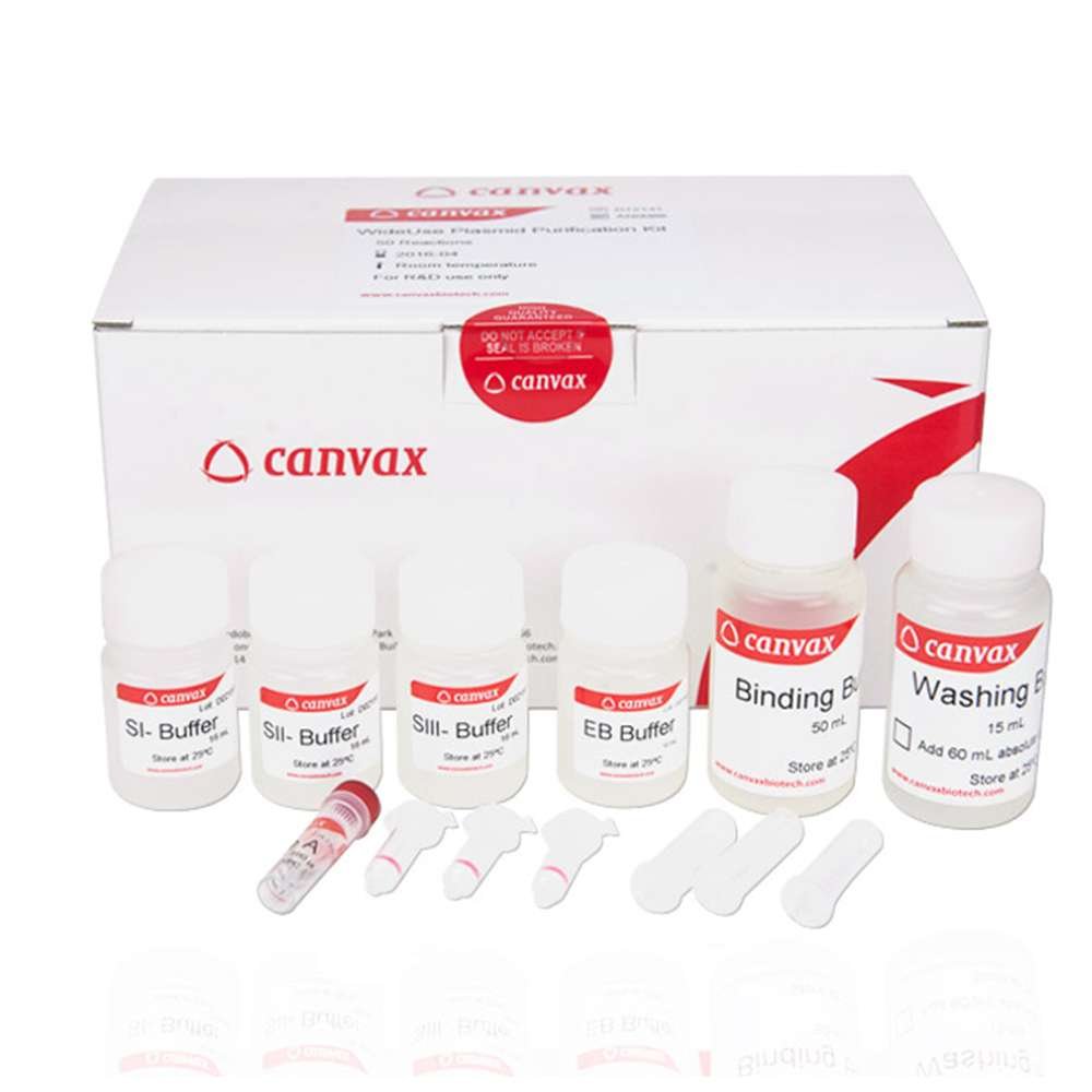 plasmid miniprep kit