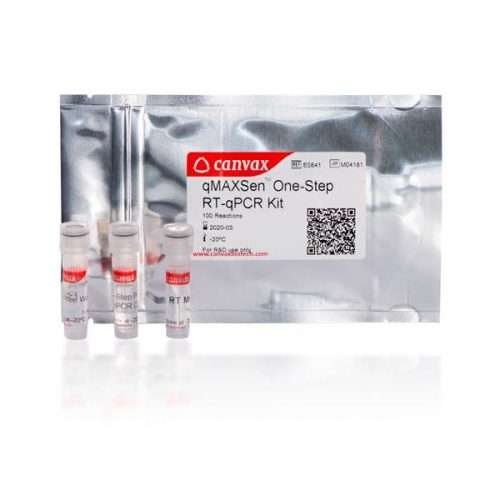 One Step RT qPCR kit