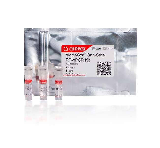 One Step RT qPCR kit