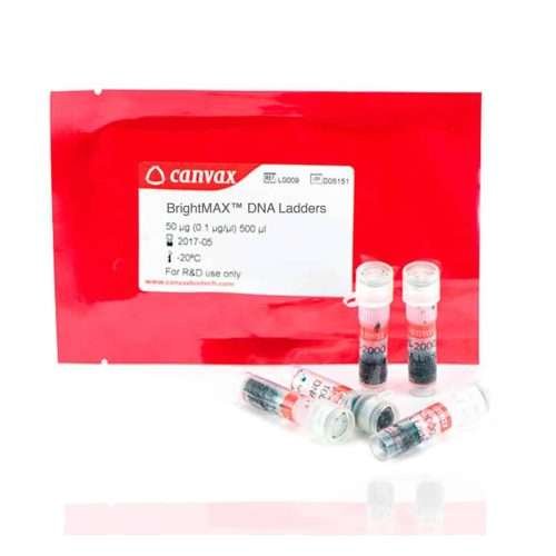 lambda dna/hindIII marker