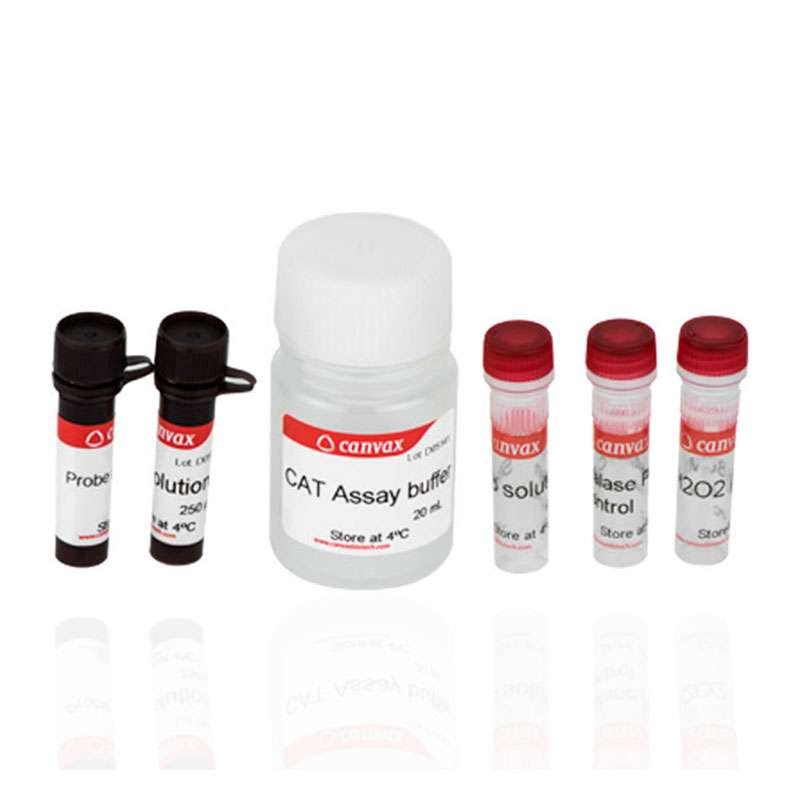 Catalase