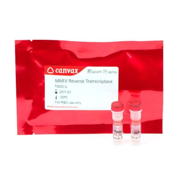 MMLV Reverse Transcriptase