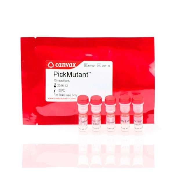 PickMutant Site-Directed Mutagenesis Kit for fast, efficient gene editing