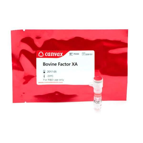 bovine factor xa1