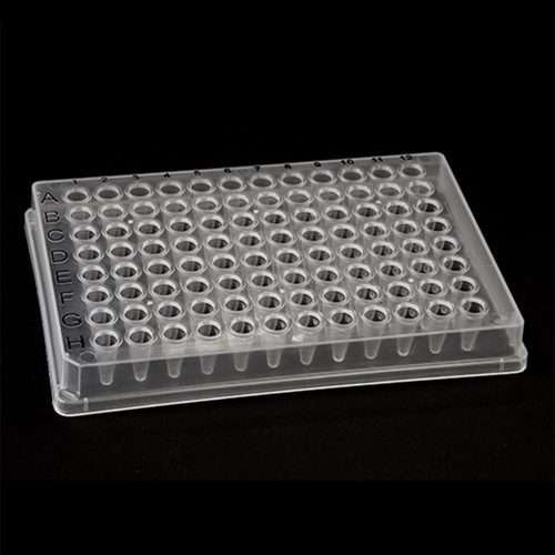 full skirted 96 well plate