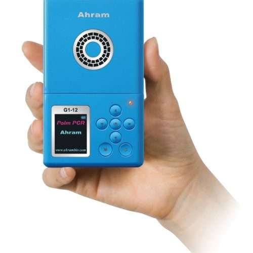 Palm PCR G2-12
