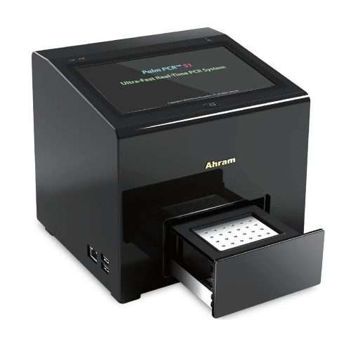 palm pcr s1