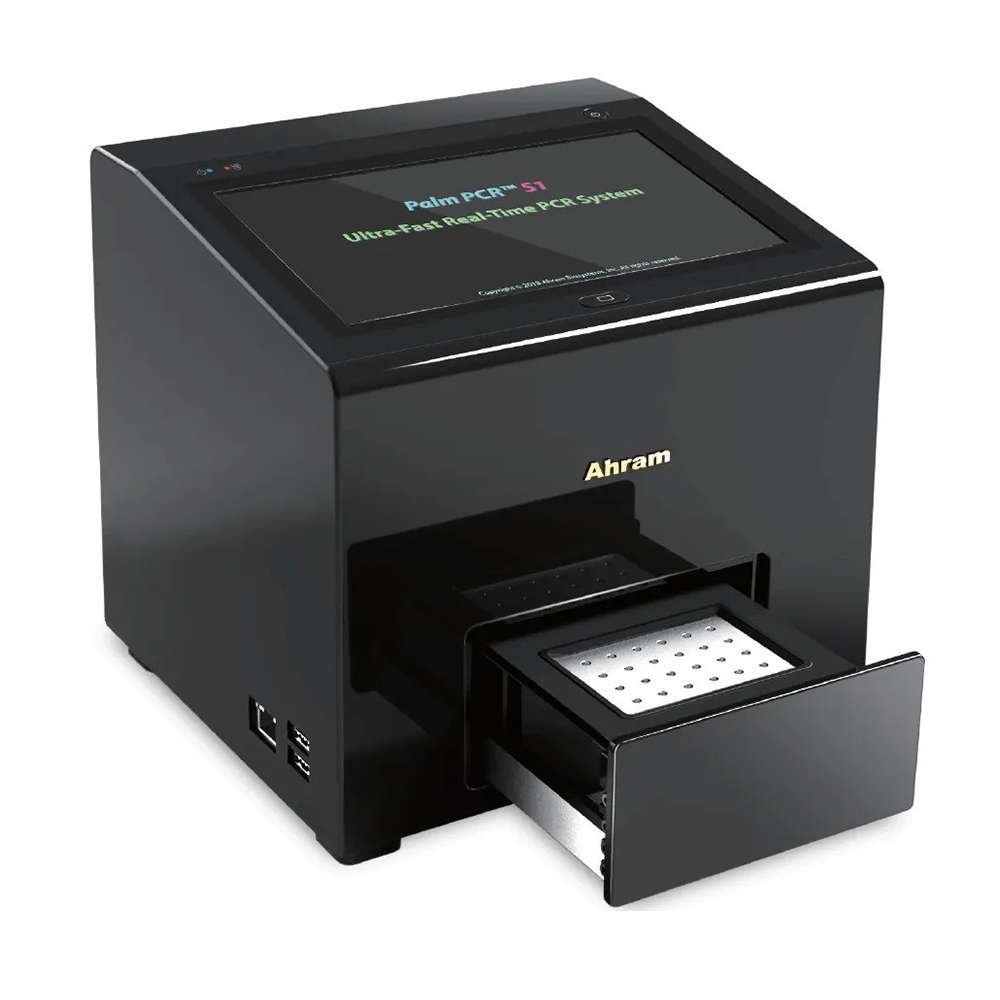 palm pcr s1