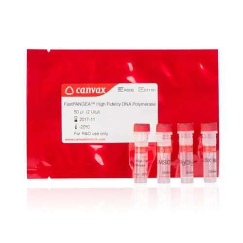 high fidelity polymerase