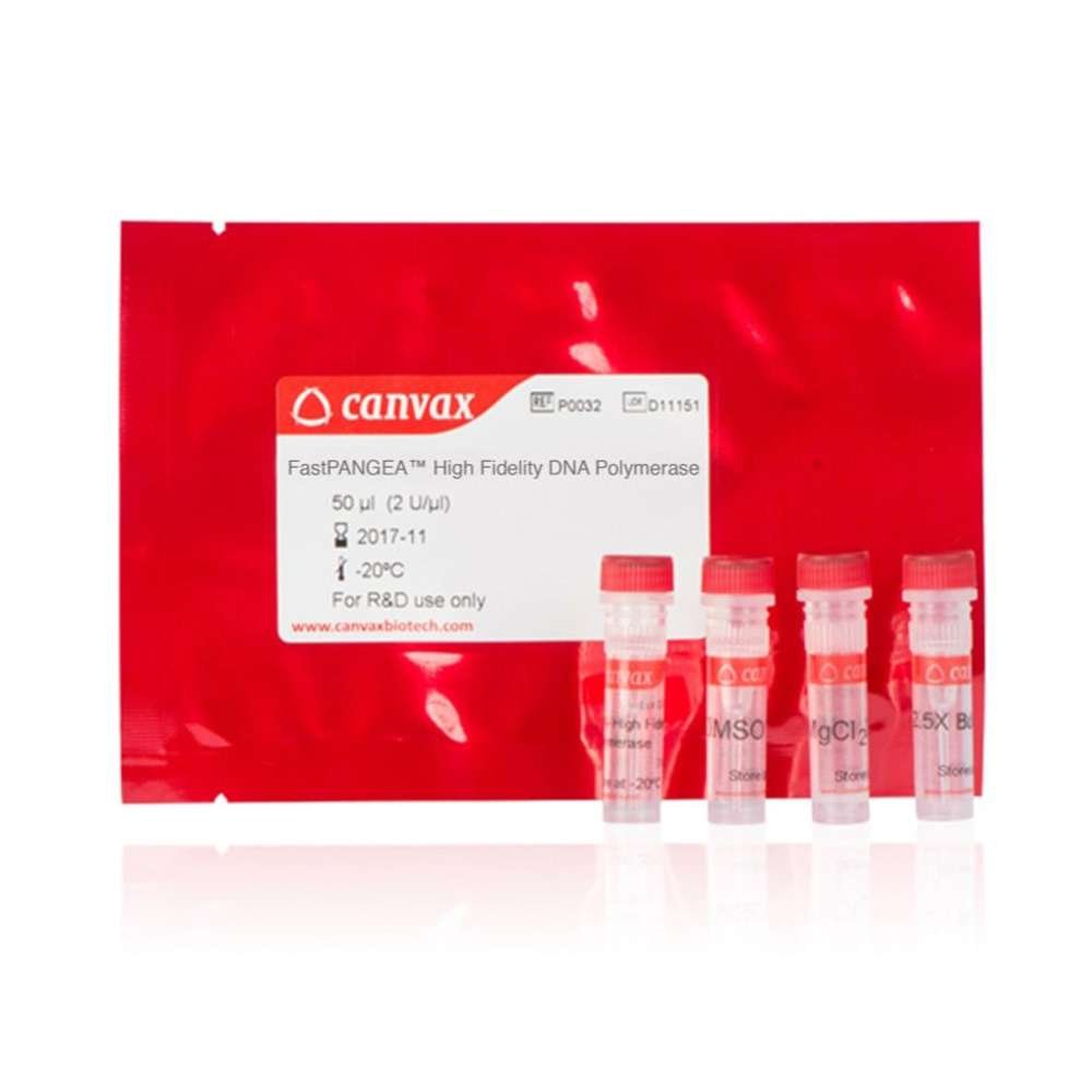 high fidelity polymerase