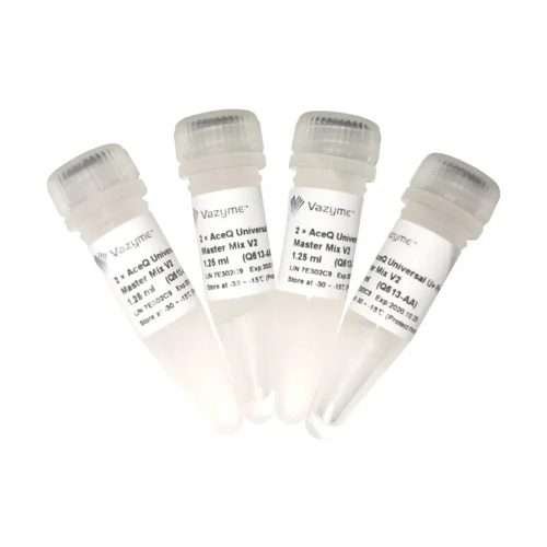 AceQ® Universal U+ Probe Master Mix V2