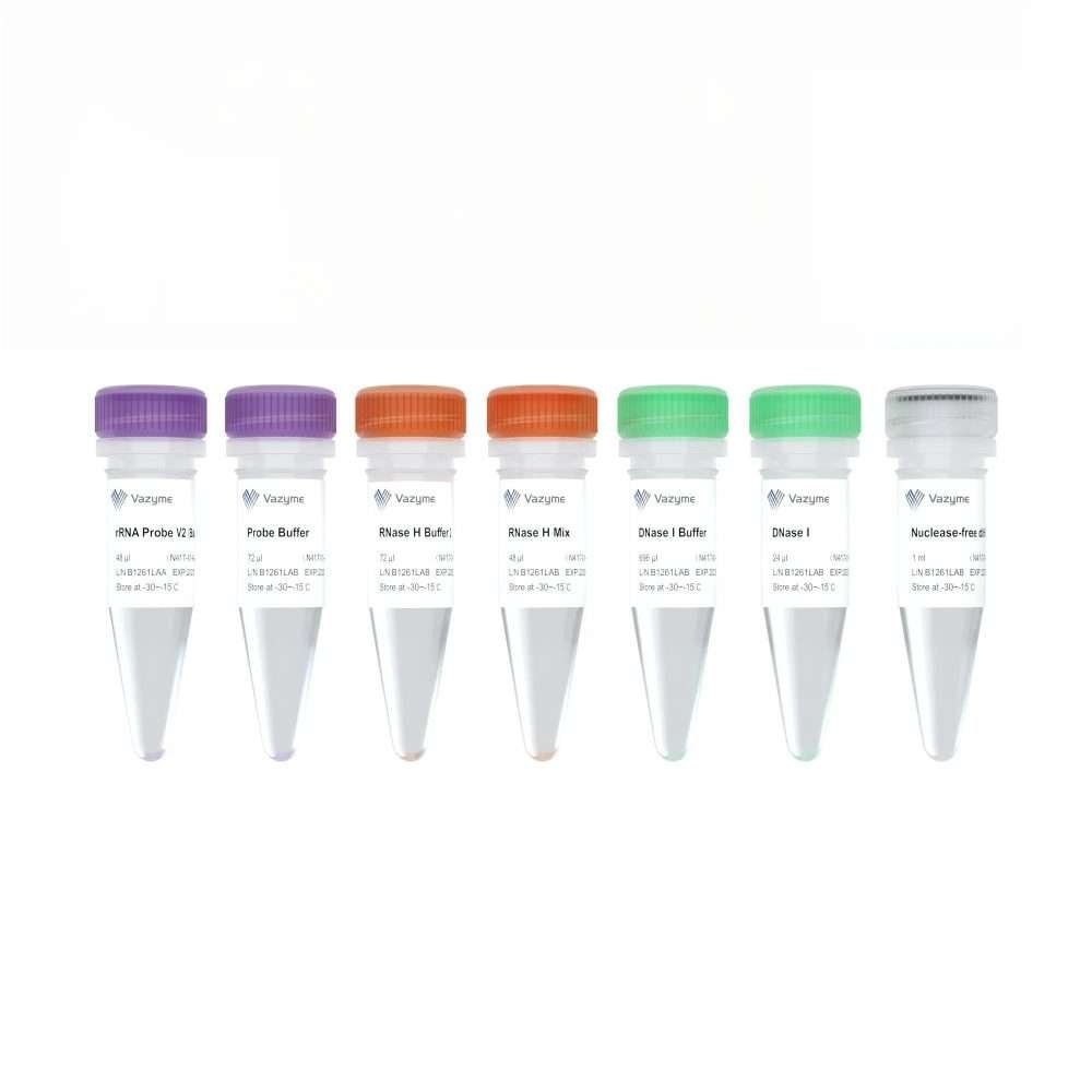 Ribo-off rRNA Depletion Kit Bacteria