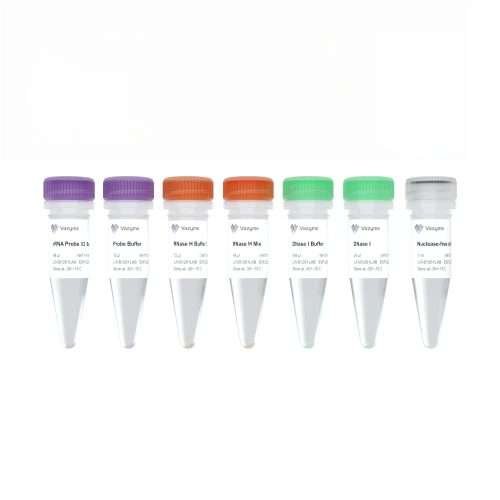 Ribo-off rRNA Depletion Kit Bacteria