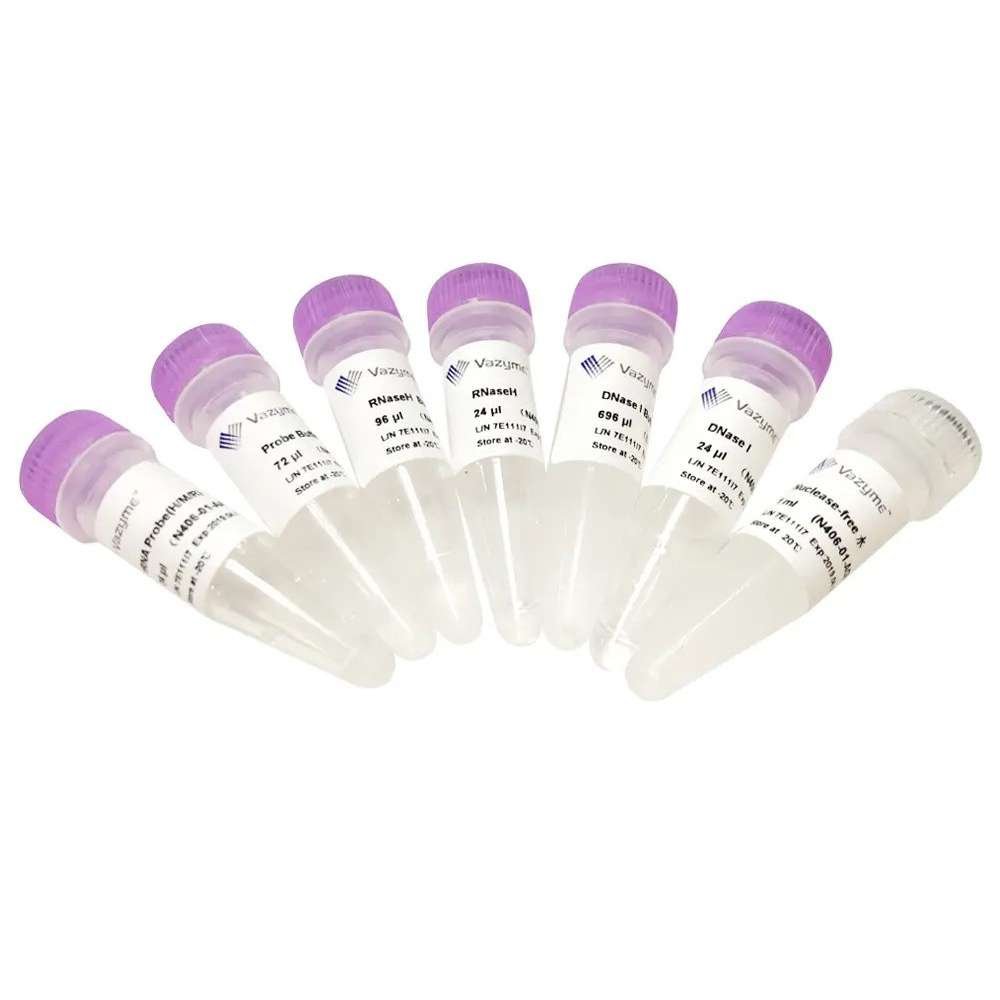 Ribo-off™ rRNA Depletion Kit (Human/Mouse/Rat)
