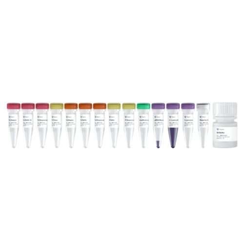 VAHTS Small RNA Library Prep Kit for Illumina V2