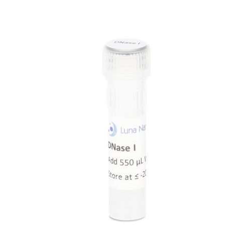 DNase I, RNase-Free, Lyophilized Powder, 25 x 550U