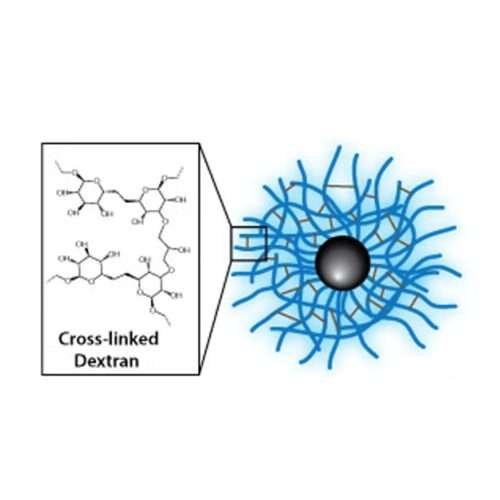 Dextran CLIO Magnetic Nanoparticles