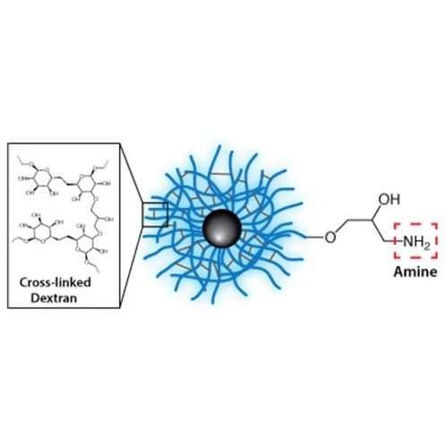 amine functionalized magnetic nanoparticles