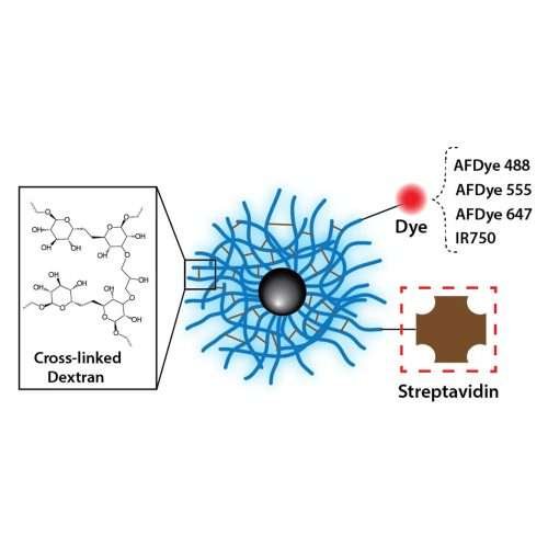 Dextran Coated Iron Oxide Nanoparticles