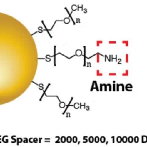 Luna Nanotech Gold Nanoparticles Amine functionalized