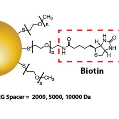 biotin gold nanoparticles
