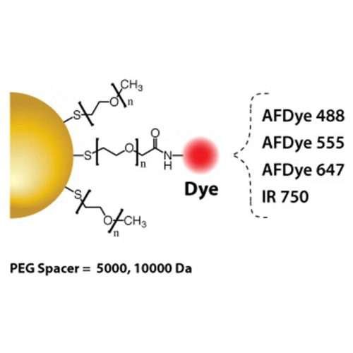 Fluorescent Gold Nanoparticles