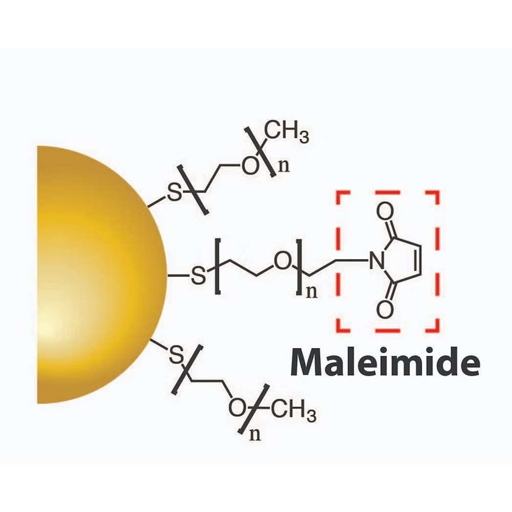 gold nanoparticles maleimide