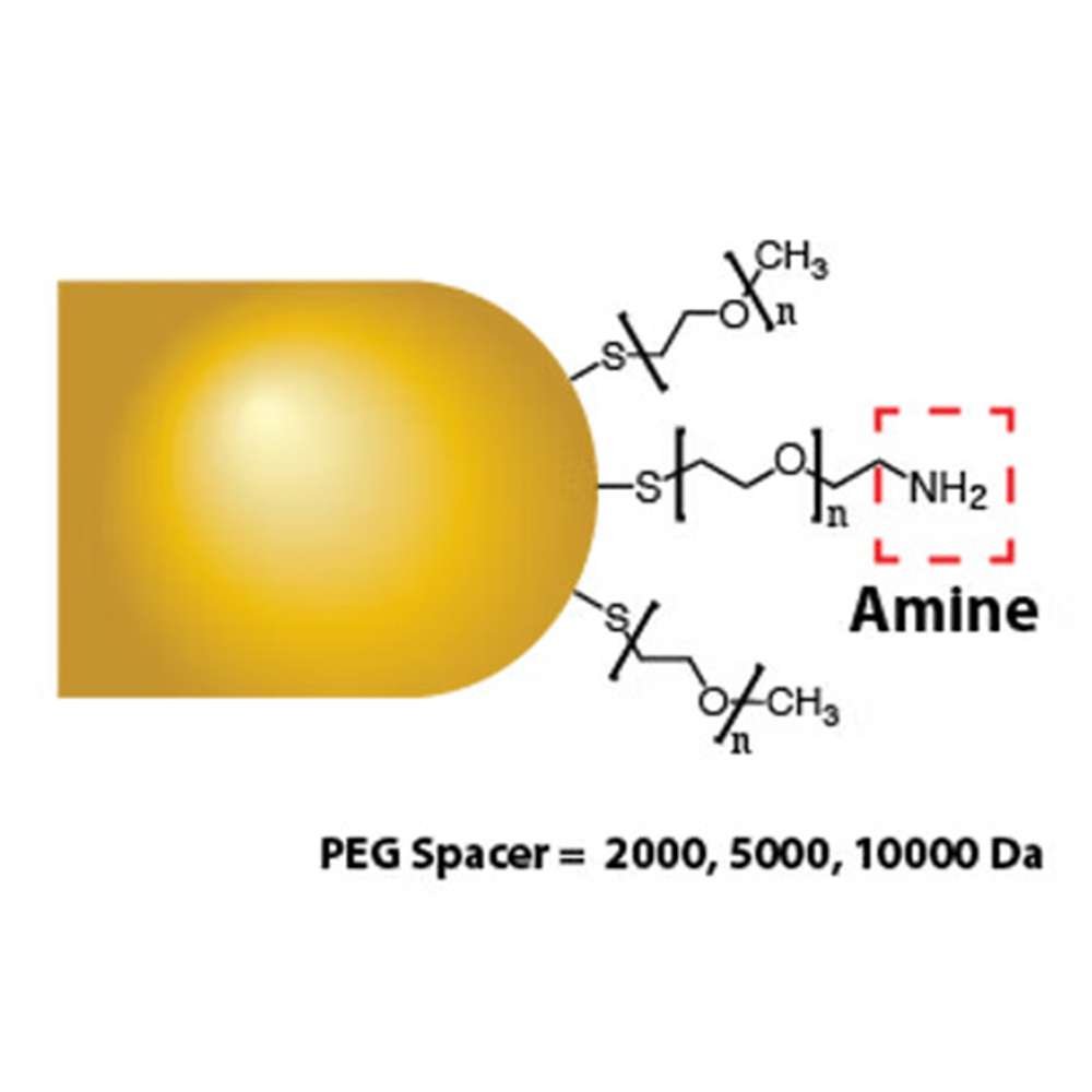 Gold Nanorods - Amine
