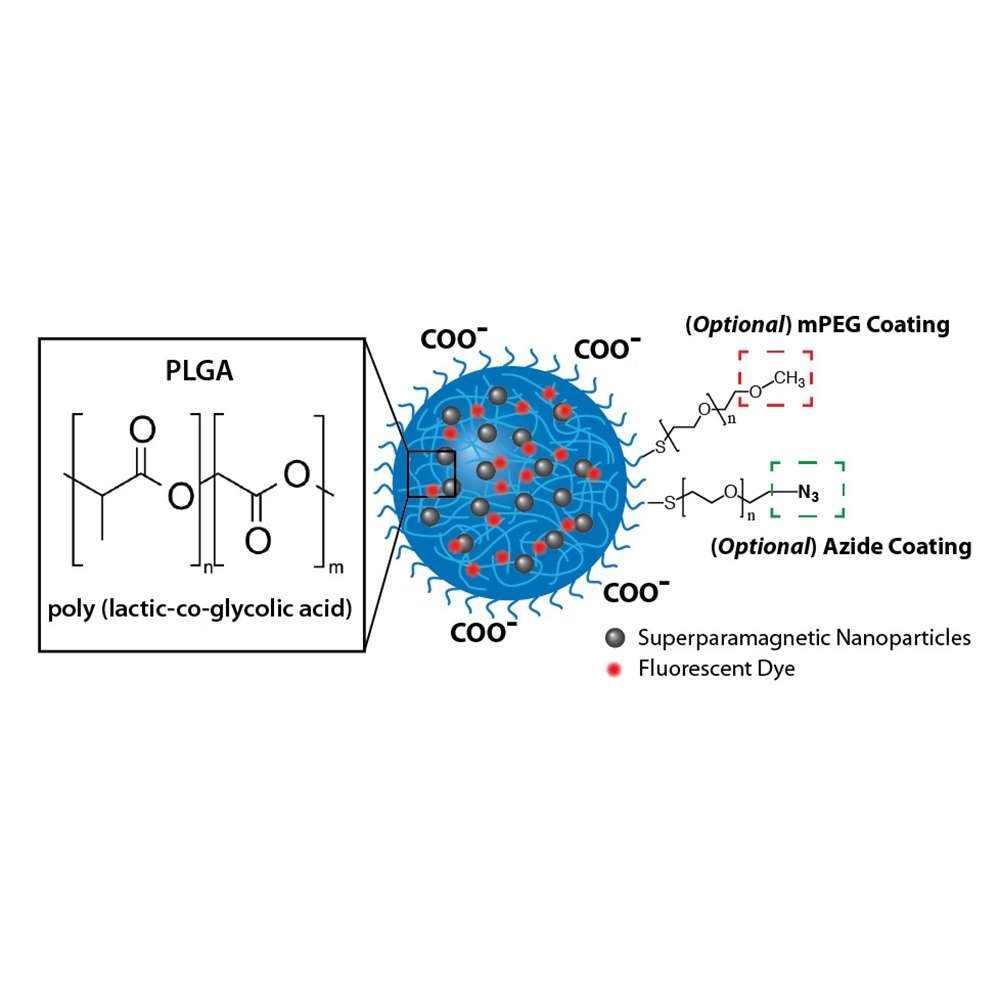 fluorescent magnetic nanoparticles