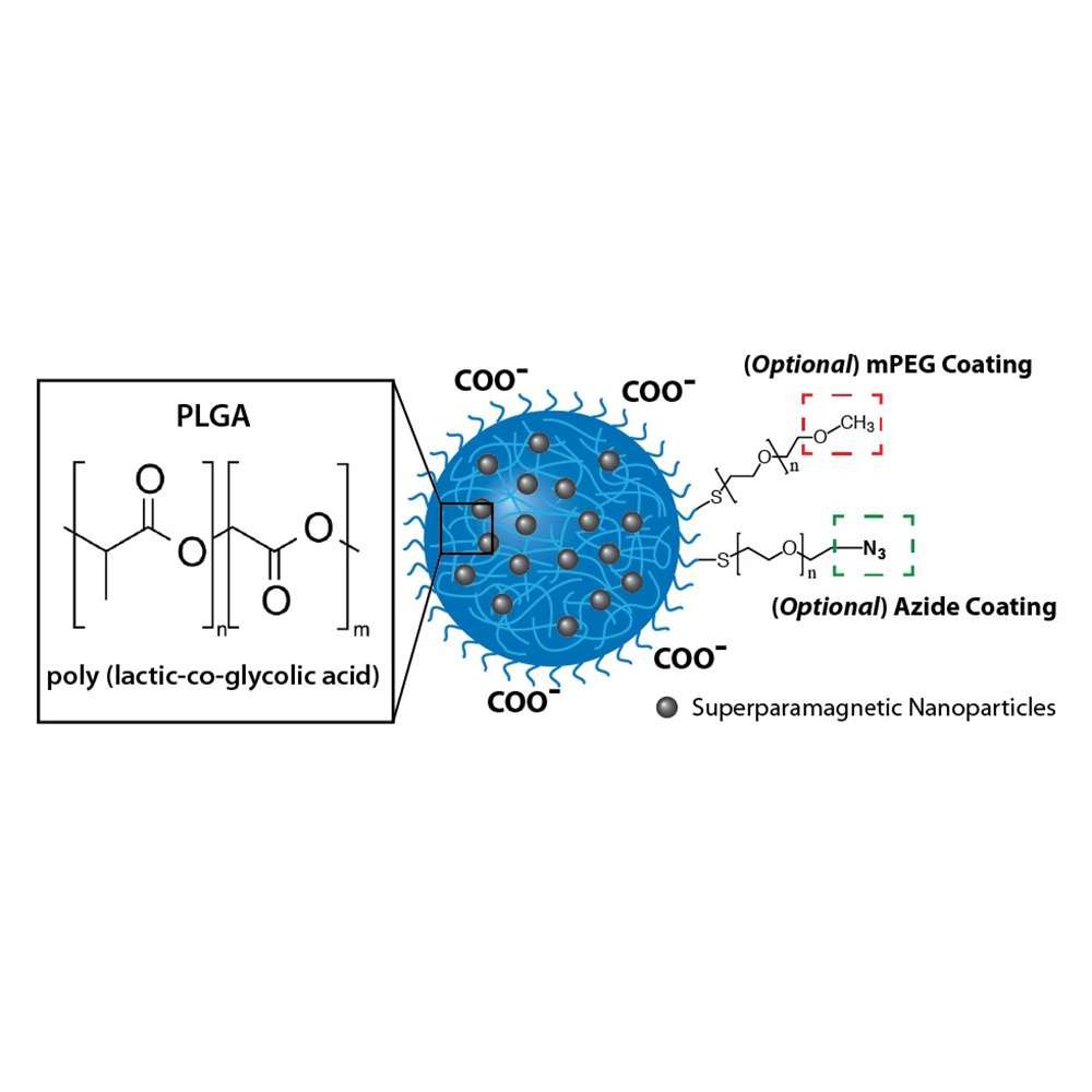 plga nanoparticles magnetic