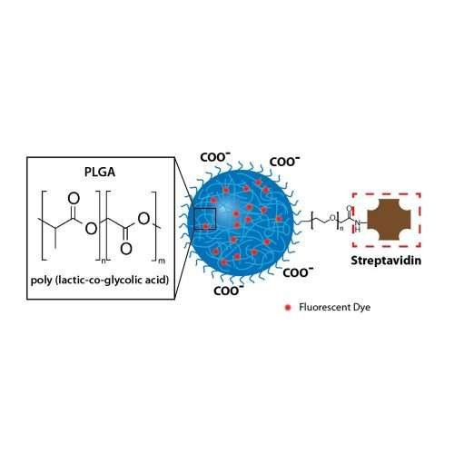 Streptavidin magnetic nanoparticles