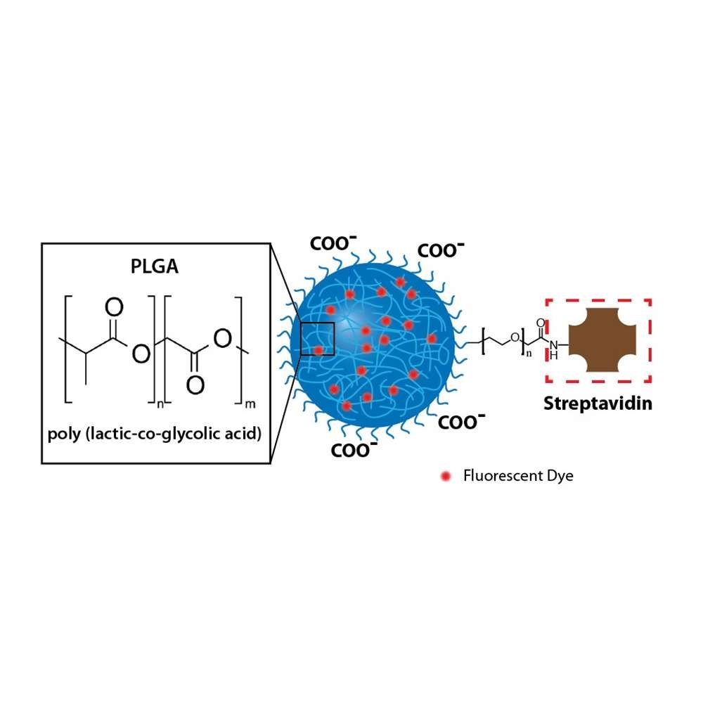 Streptavidin magnetic nanoparticles
