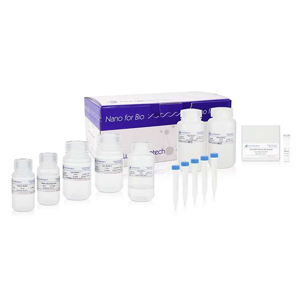 PuroSPIN™ Endo-Free Plasmid MIDIprep Kit