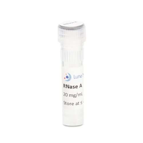 rnase a dnase free