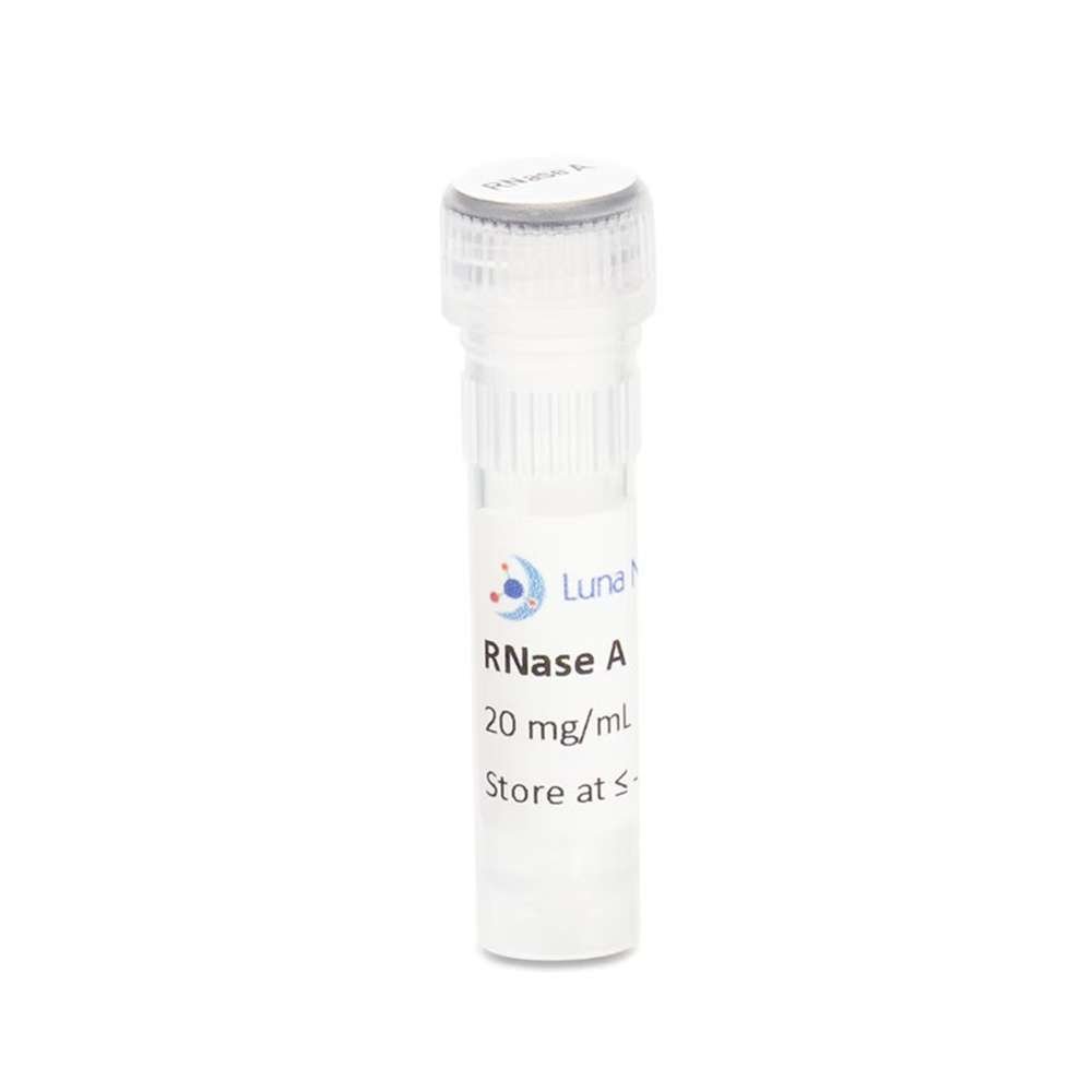 rnase a dnase free