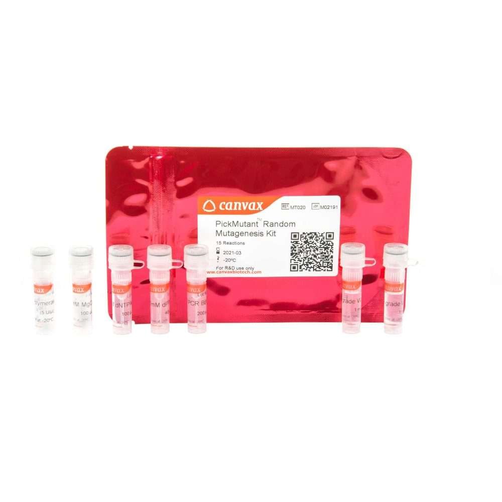 PickMutant Random Mutagenesis Kit generates diverse mutant DNA libraries for research.
